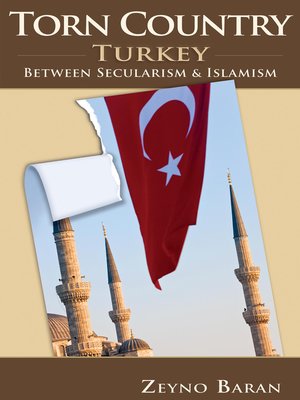 cover image of Torn Country
